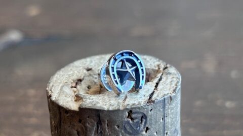 セカンドピアスに合うピアス、pe37