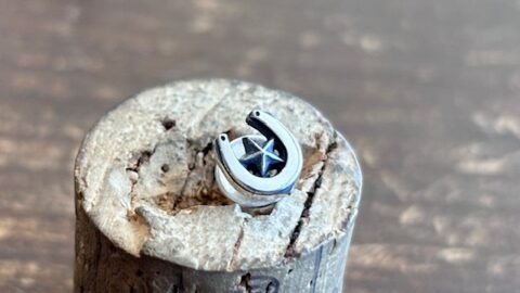 セカンドピアスに合うピアス、pe56