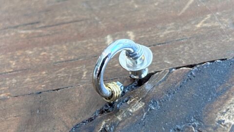 セカンドピアスに合う、pe40